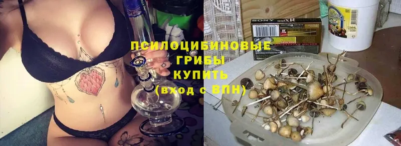 Псилоцибиновые грибы мухоморы  купить наркотики сайты  Котельники 